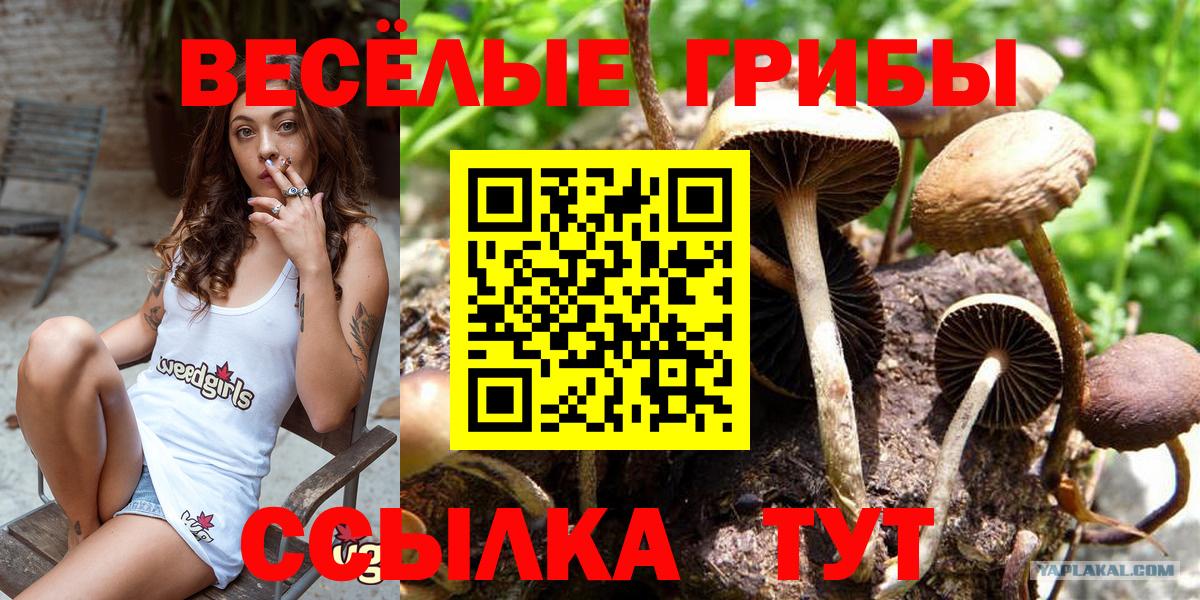Псилоцибиновые грибы Magic Shrooms Чайковский