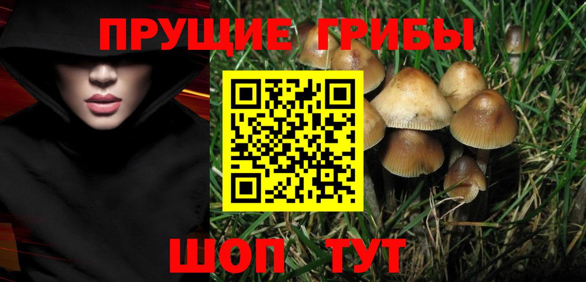 Галлюциногенные грибы Psilocybe  Псилоцибиновые грибы GOLDEN TEACHER  Чайковский  Вход с VPN 